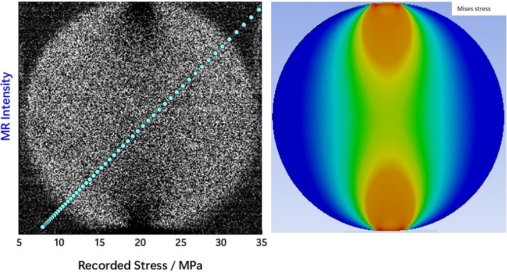 The silk worm and its CNF containing feed. ©Tohoku University