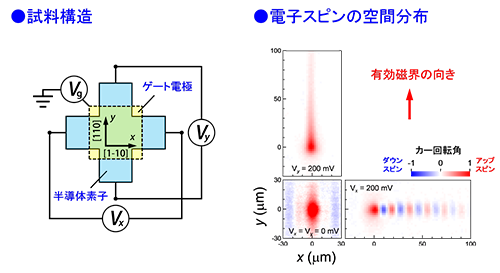 図4．永久スピンらせん状態におけるドリフトスピンの空間分布