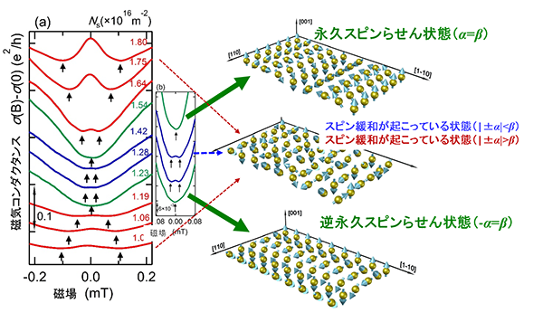 量子干渉効果を用いた磁気伝導測定の結果(左図)と各測定におけるスピン状態の模式図