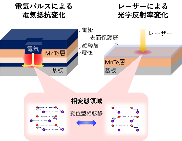 図2 MnTe化合物を電極で挟み込んだメモリ素子を作製し、可逆的な電気抵抗スイッチング現象を実証．また、レーザー加熱による光学反射率変化も確認。これら物性変化は変位型相変態により生じるため、超省エネルギーかつ超高速動作を可能とする不揮発性メモリや光学センサーなどへの利用が期待．