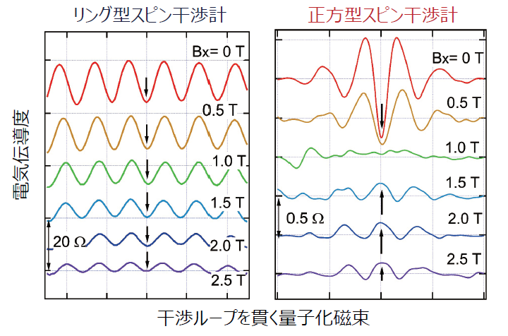 図2 リング型と正方型スピン干渉デバイスを用いた実験結果 正方型スピン干渉デバイスでは弱い磁場で干渉パターンが反転する