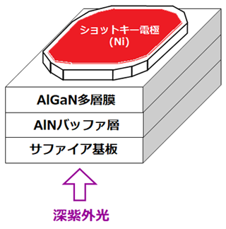 図1　開発した検出デバイスの構造