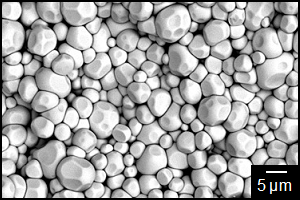 図1　低温で粒成長した酸化セリウム