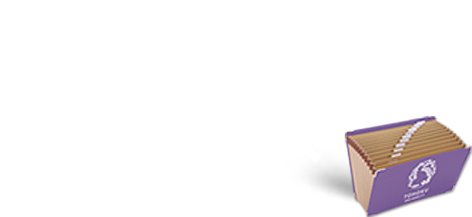 “材料”の可能性を未来の力へ ～研究者プロファイル～