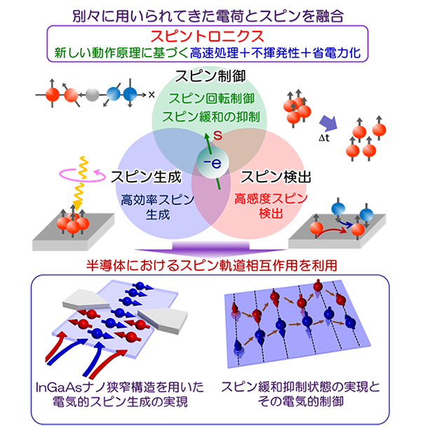 （図/写真2）InGaAs量子井戸にゲート電圧を印加することで、スピン軌道相互作用を制御し、スピンの向きが揃った電流を生み出す技術や、互いのスピンの向きが揃った状態で長距離までスピンが持つ情報を輸送できる技術を開発。