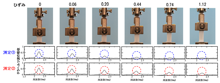 図3　一軸変形した超高分子量ポリエチレンのテラヘルツスペクトル ※小山研ウェブサイトに動画があります（www.material.tohoku.ac.jp/~denko）