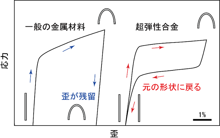 図2．一般の金属材料と超弾性合金の歪と応力の関係の模式図。一般金属材料では0.5%程度を超える歪を与えると、除荷後に歪が残るが、超弾性合金では数%から10%程度の変形を与えても、元の形状に復元する。