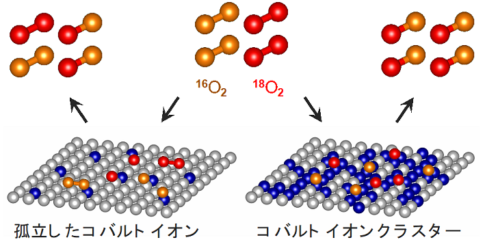 図1 コバルト酸化物表面での酸素吸着・解離反応の模式図