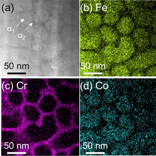 Fe-Cr-Co系合金におけるスピノーダル分解後の走査透過電子顕微鏡（STEM）組織（(a)反射電子像、(b)-(d) 元素マップ像（それぞれ(b) Fe, (c) Cr, (d) Coを表す））