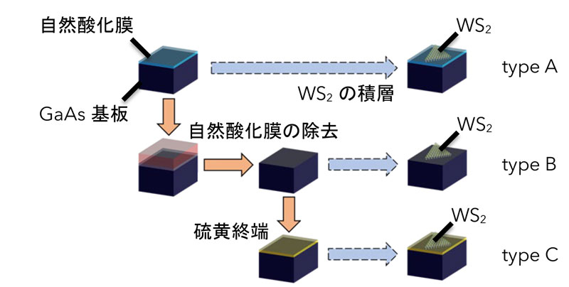 基板の表面処理で原子層二次元半導体の電荷制御に成功 - 従来より極めて超低消費電力の電子デバイス実現に道 -