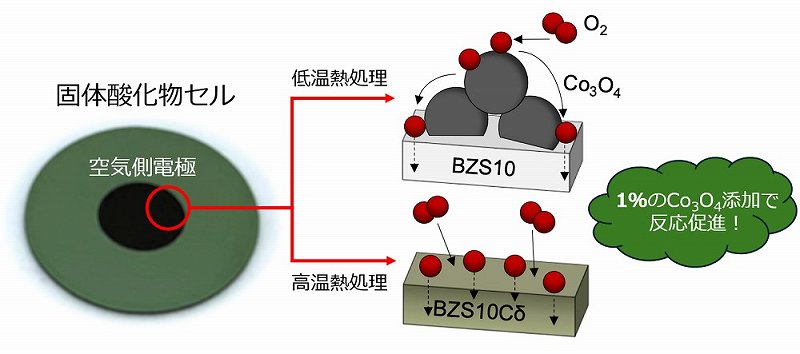 固体酸化物セルのコバルト使用量を削減 - グリーン水素の利用・製造コストの低減に貢献 -