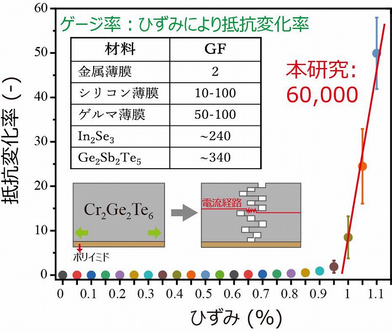 薄膜の従来材に比べて二桁以上高いひずみ検出機能を発見 - ウェアラブル健康診断システム用の新材料として期待 -